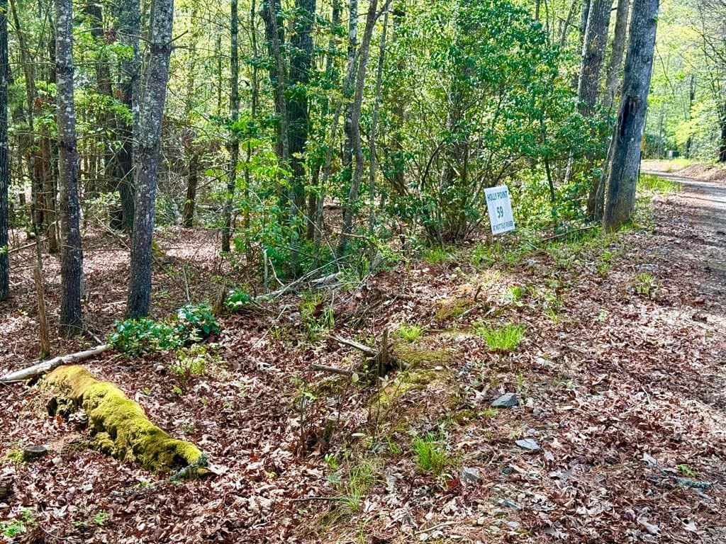 59 Rainy Farm Road, Murphy NC 28906 - Photo