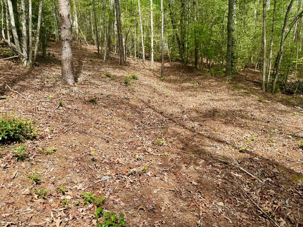 59 Rainy Farm Road, Murphy NC 28906 - Photo