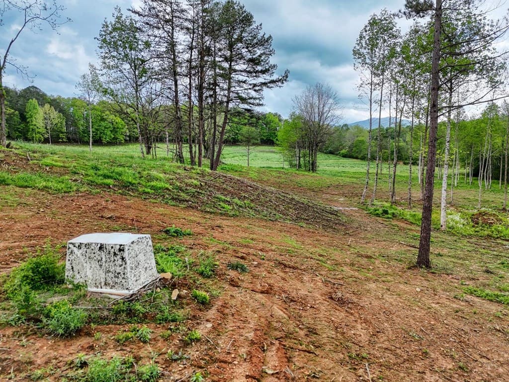 Tract II Shuler Road, Blairsville GA 30512 - Photo