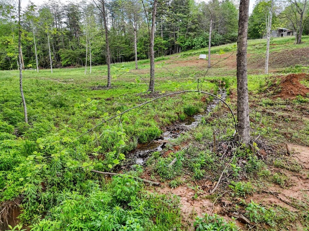 Tract II Shuler Road, Blairsville GA 30512 - Photo