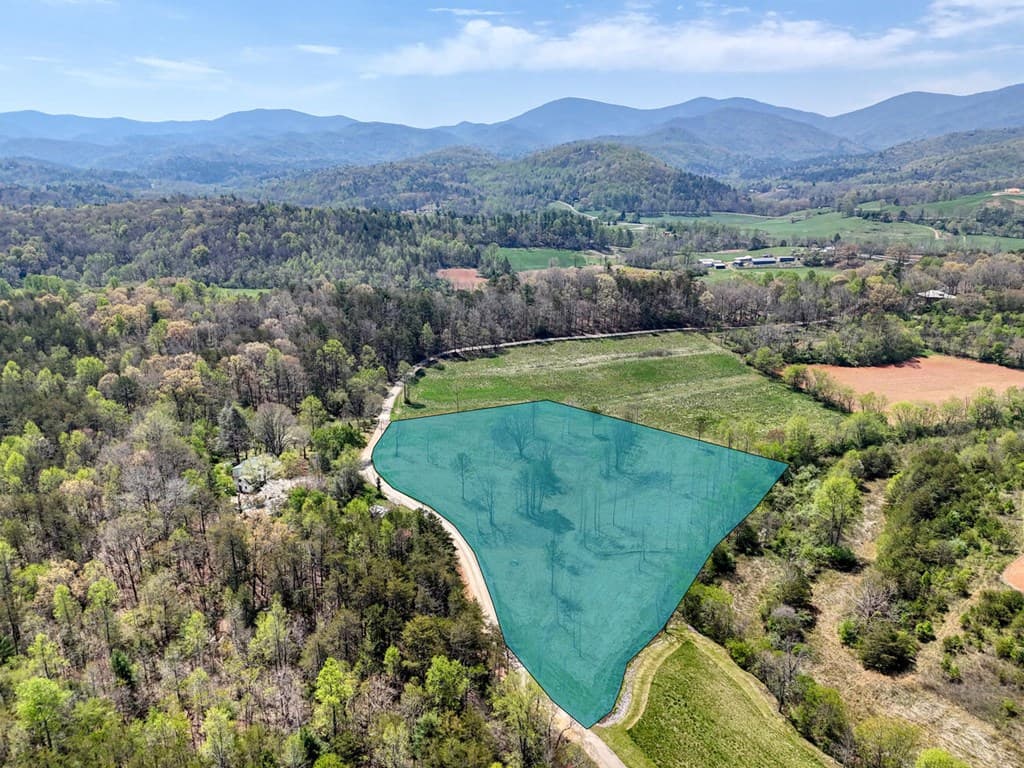 Tract II Shuler Road, Blairsville GA 30512 - Photo