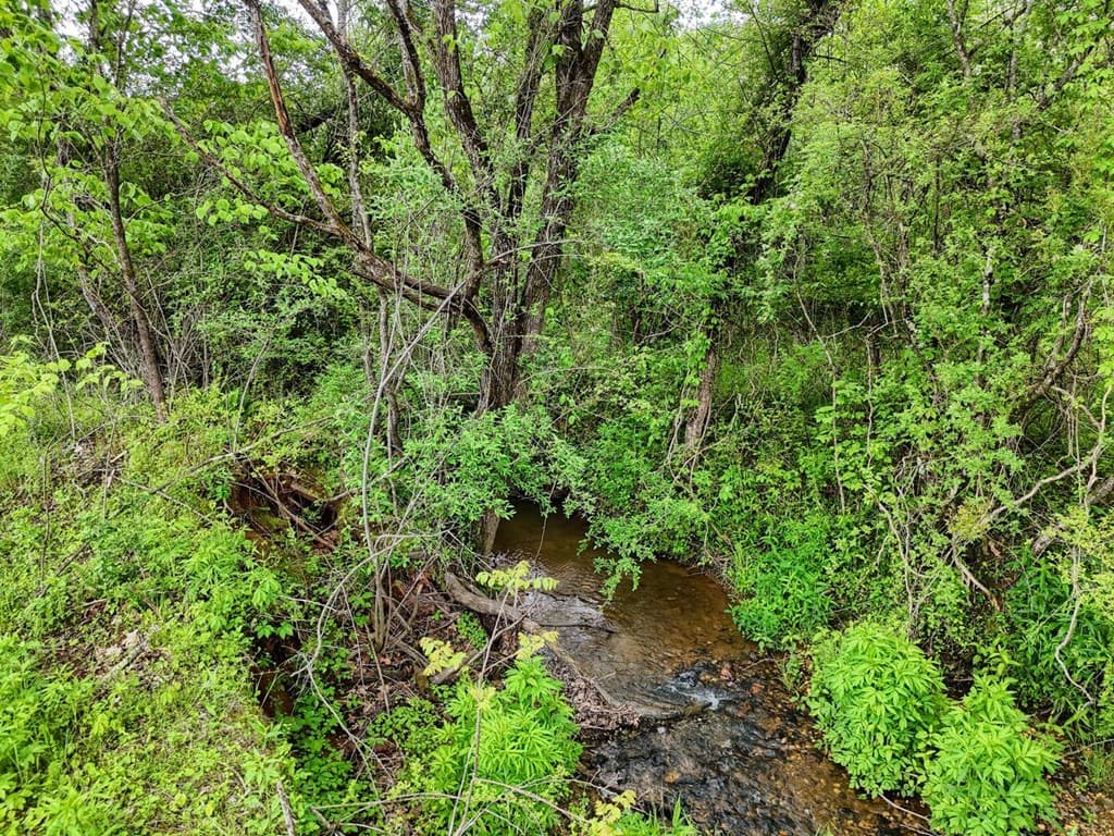 Tract II Shuler Road, Blairsville GA 30512 - Photo