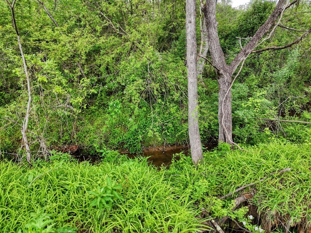 Tract II Shuler Road, Blairsville GA 30512 - Photo