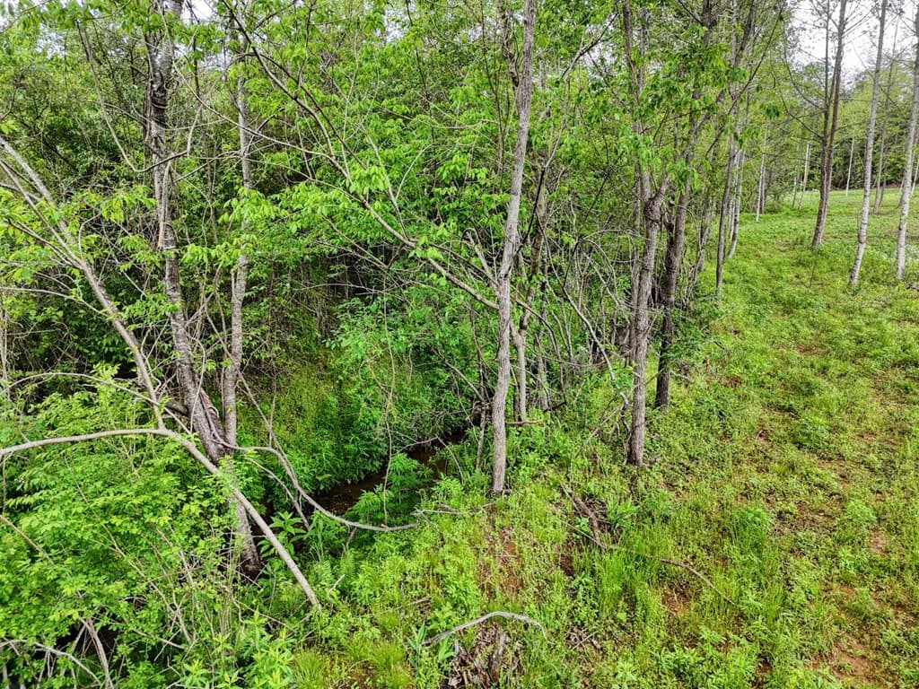Tract II Shuler Road, Blairsville GA 30512 - Photo