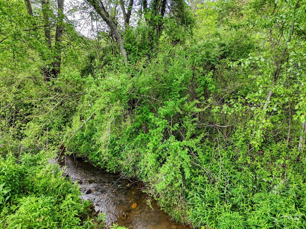 Tract II Shuler Road, Blairsville GA 30512 - Photo
