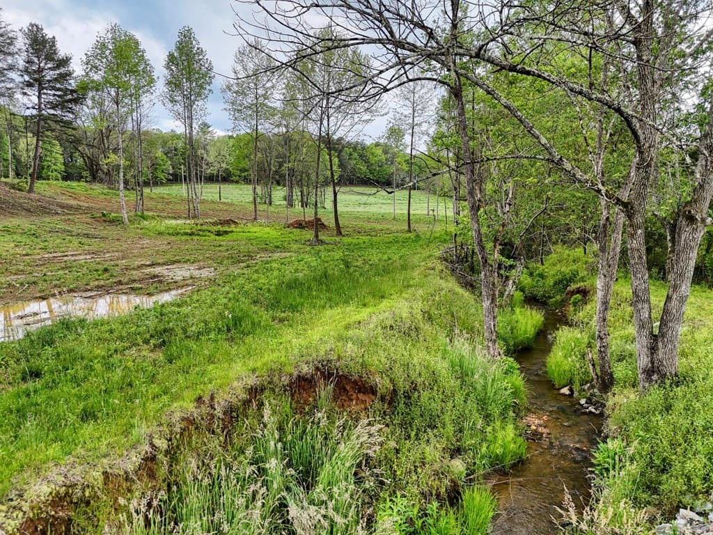 Tract II Shuler Road, Blairsville GA 30512 - Photo