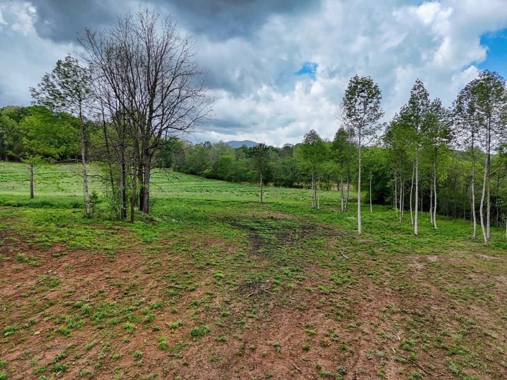 Tract II Shuler Road, Blairsville GA 30512 - Photo