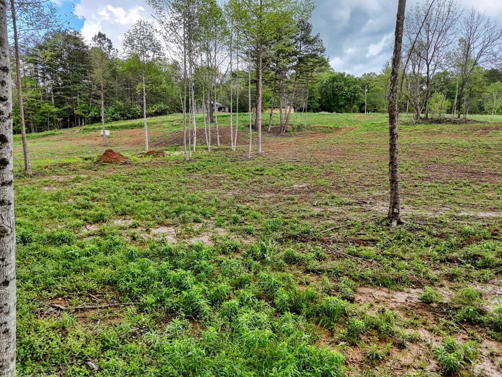 Tract II Shuler Road, Blairsville GA 30512 - Photo