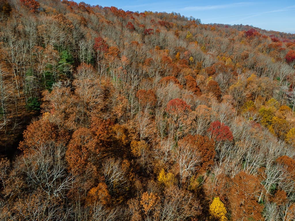 36 Utana Bluffs Trail, Ellijay GA 30540 - Photo
