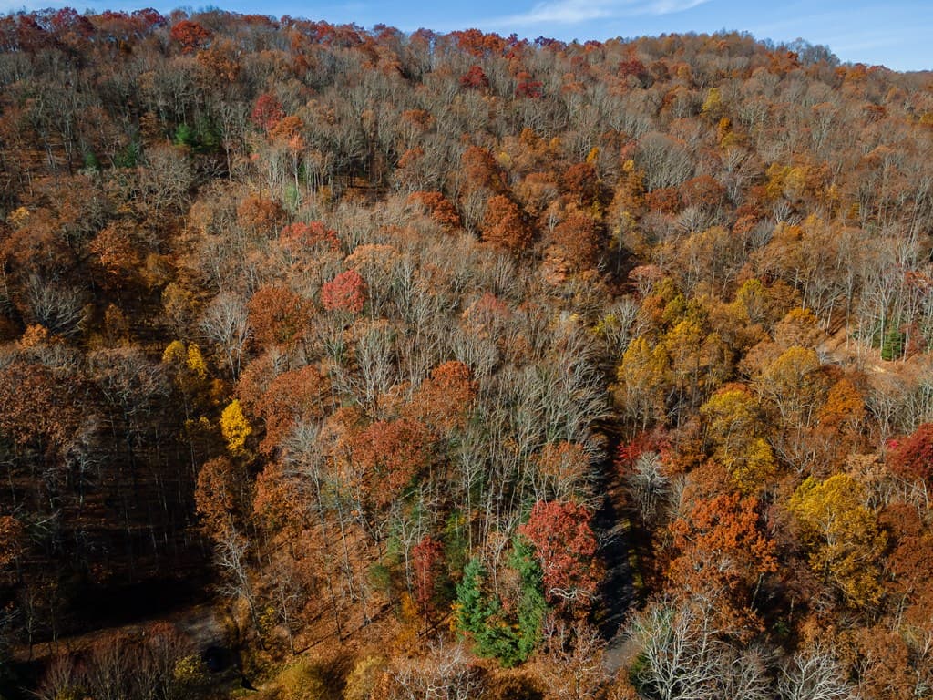 36 Utana Bluffs Trail, Ellijay GA 30540 - Photo
