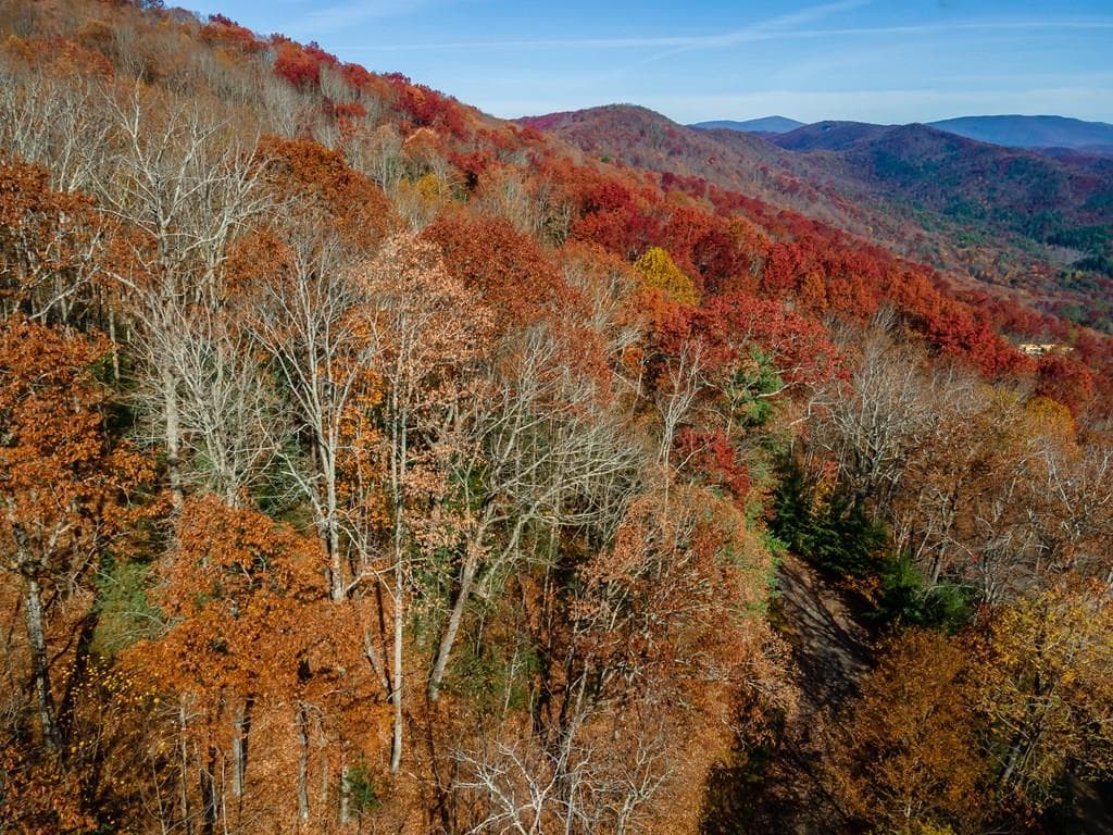 36 Utana Bluffs Trail, Ellijay GA 30540 - Primary photo