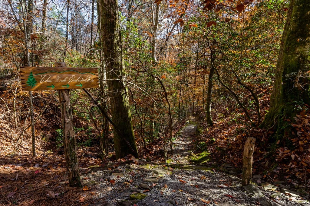36 Utana Bluffs Trail, Ellijay GA 30540 - Photo