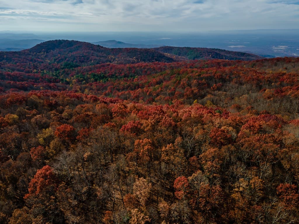 36 Utana Bluffs Trail, Ellijay GA 30540 - Photo