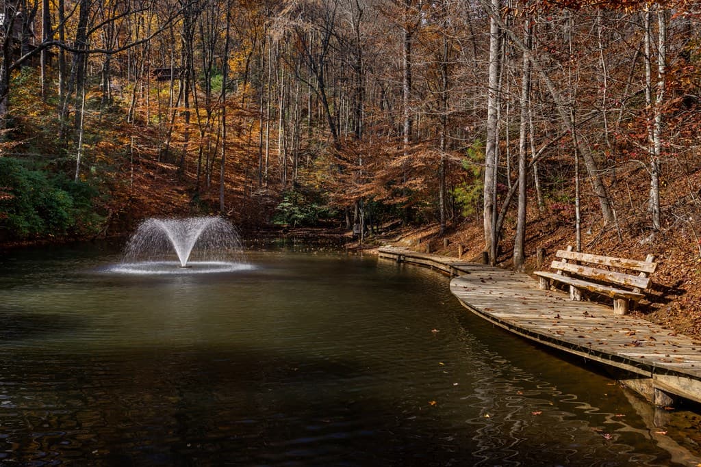 36 Utana Bluffs Trail, Ellijay GA 30540 - Photo