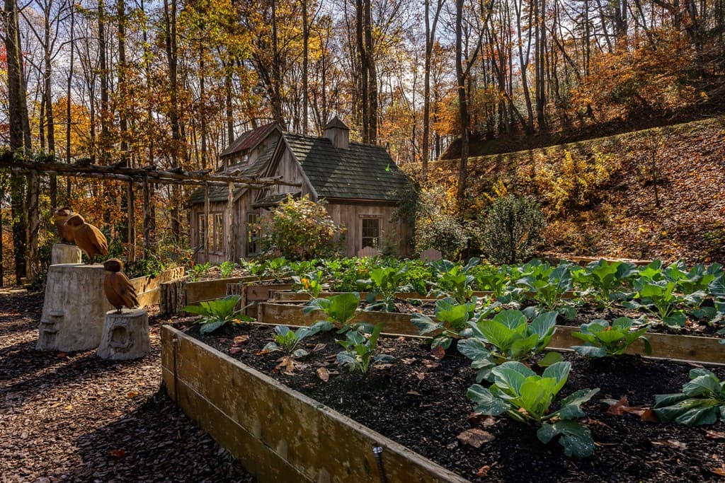 36 Utana Bluffs Trail, Ellijay GA 30540 - Photo