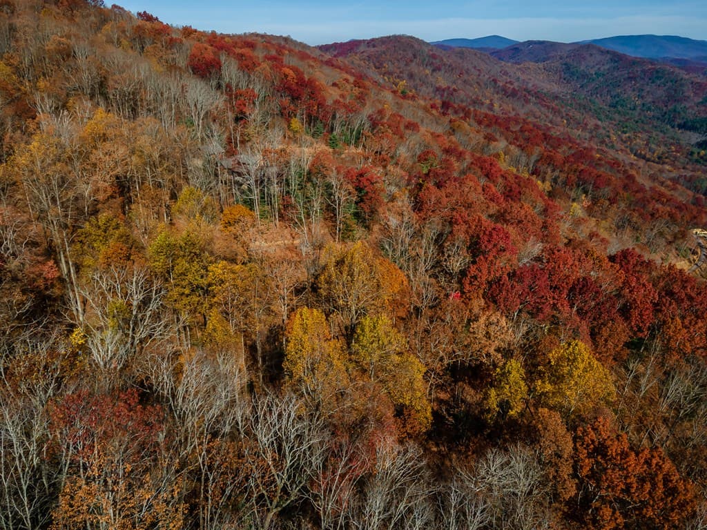 36 Utana Bluffs Trail, Ellijay GA 30540 - Photo