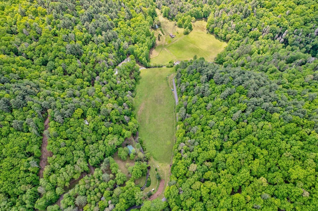 16400 Big Creek Road, Cherry Log GA 30522 - Photo