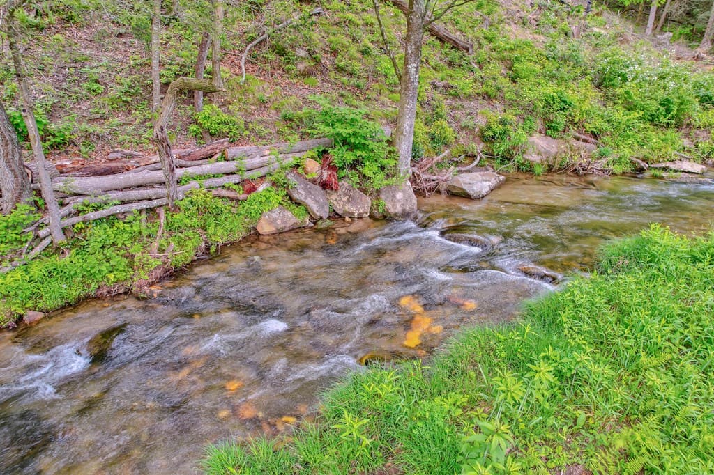 16400 Big Creek Road, Cherry Log GA 30522 - Photo
