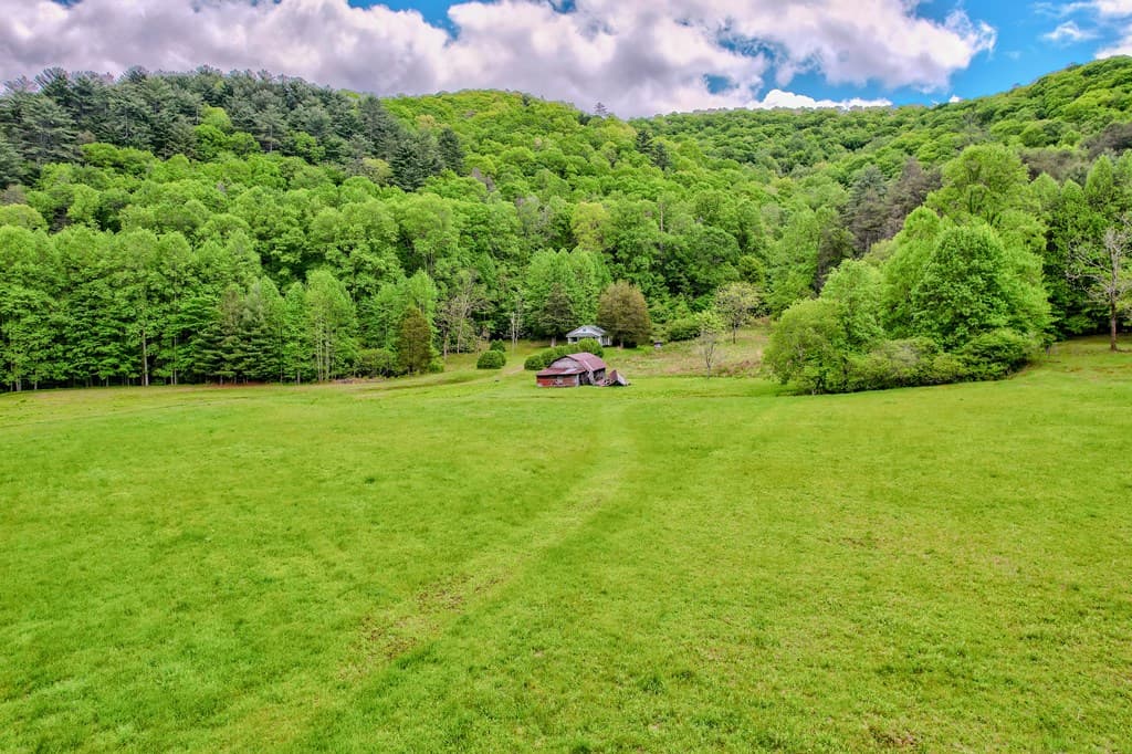16400 Big Creek Road, Cherry Log GA 30522 - Photo
