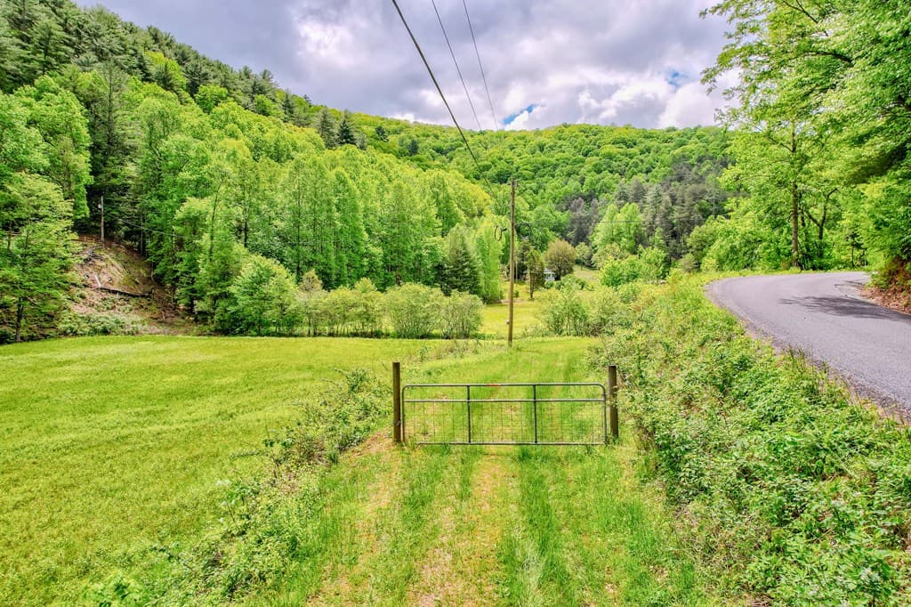 16400 Big Creek Road, Cherry Log GA 30522 - Photo