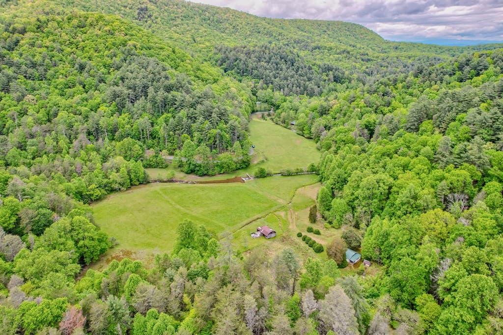 16400 Big Creek Road, Cherry Log GA 30522 - Photo