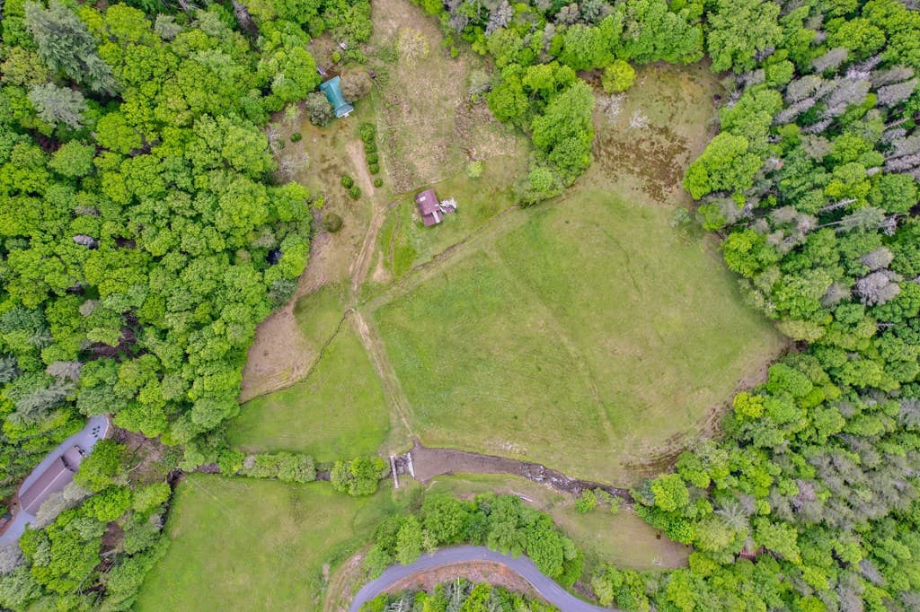 16400 Big Creek Road, Cherry Log GA 30522 - Photo