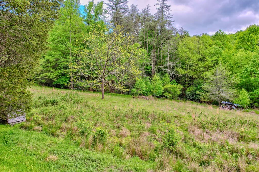 16400 Big Creek Road, Cherry Log GA 30522 - Photo