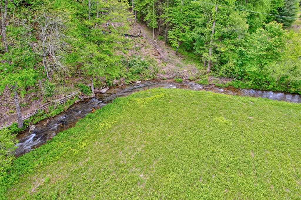 16400 Big Creek Road, Cherry Log GA 30522 - Photo