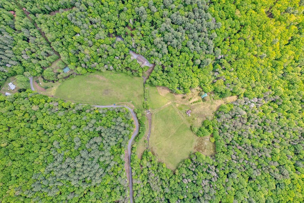 16400 Big Creek Road, Cherry Log GA 30522 - Photo