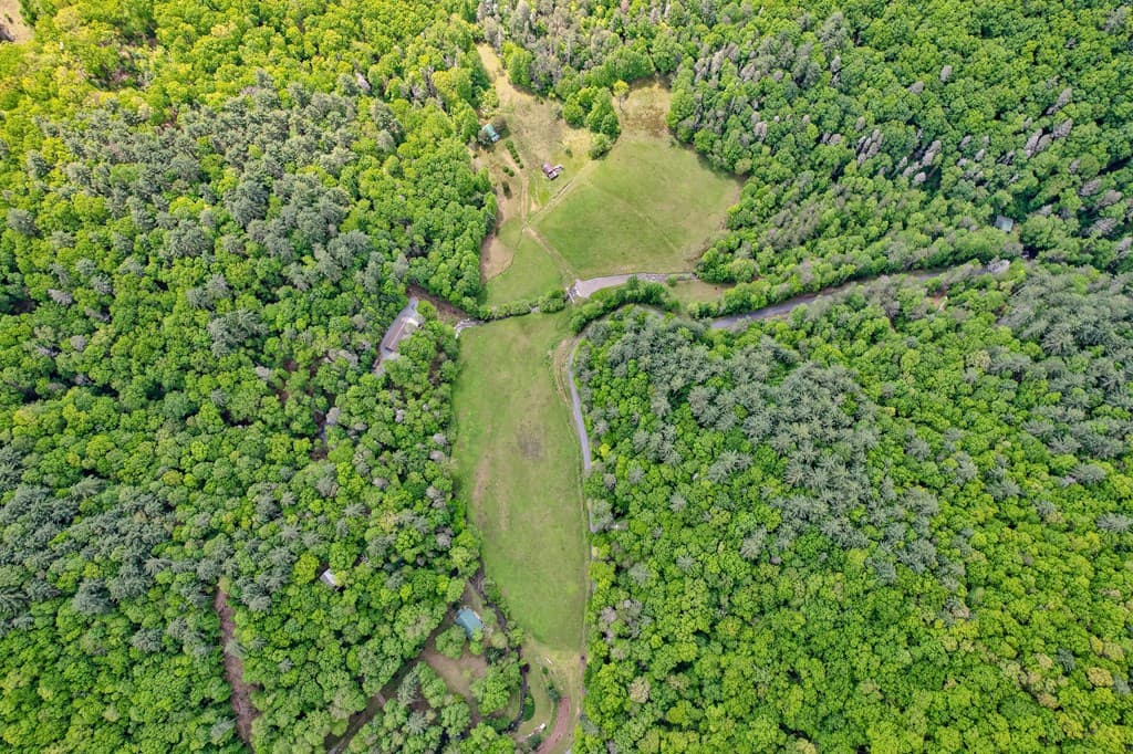 16400 Big Creek Road, Cherry Log GA 30522 - Photo