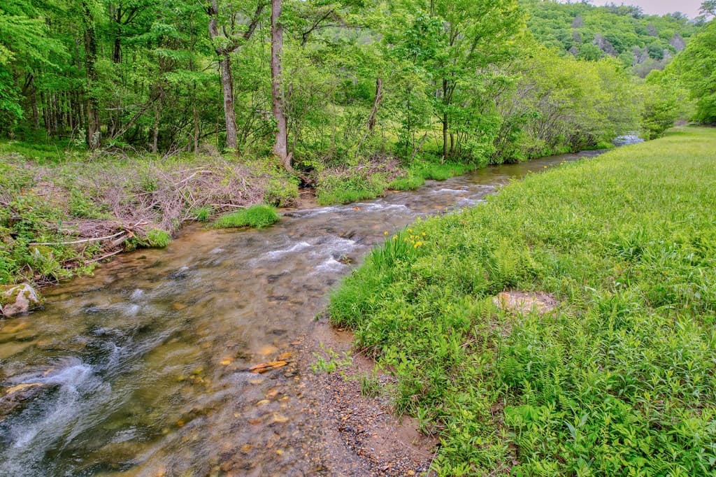 16400 Big Creek Road, Cherry Log GA 30522 - Photo