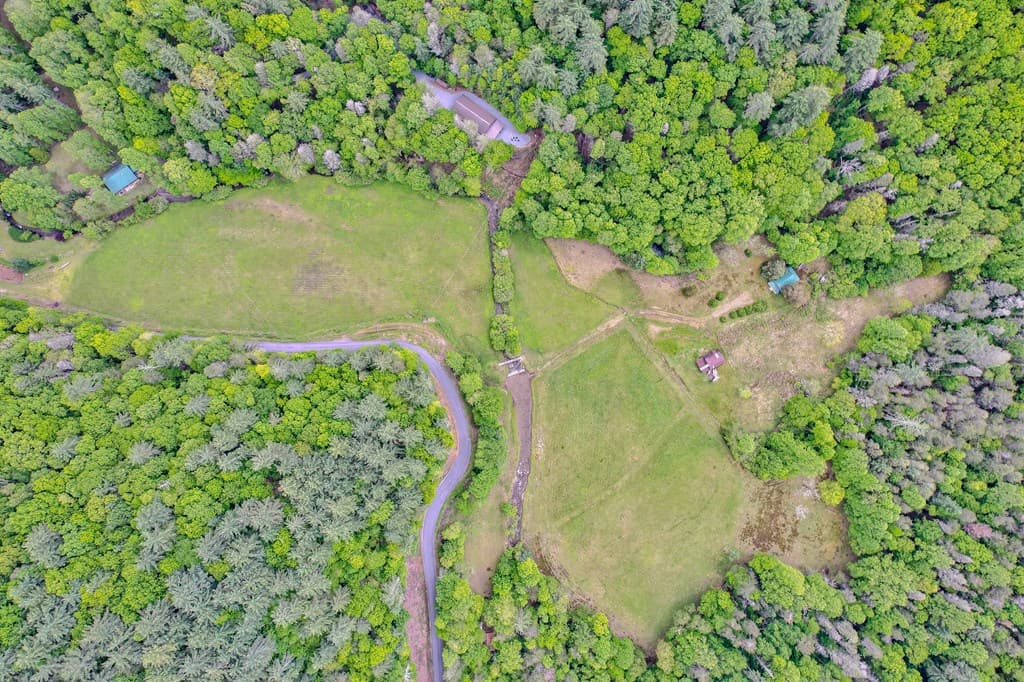 16400 Big Creek Road, Cherry Log GA 30522 - Photo