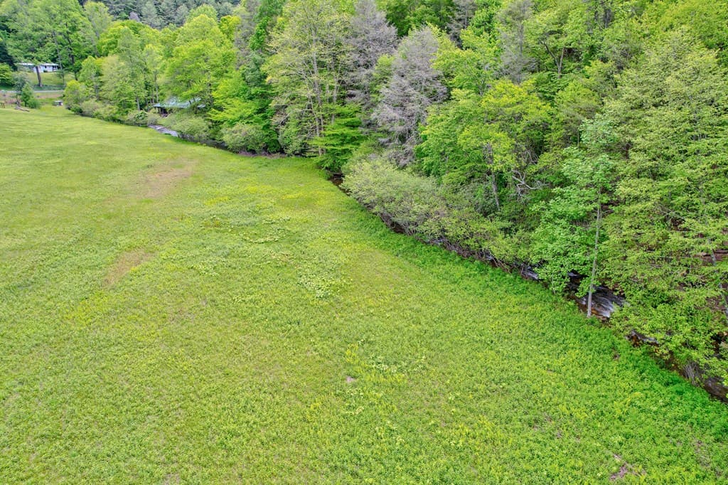16400 Big Creek Road, Cherry Log GA 30522 - Photo