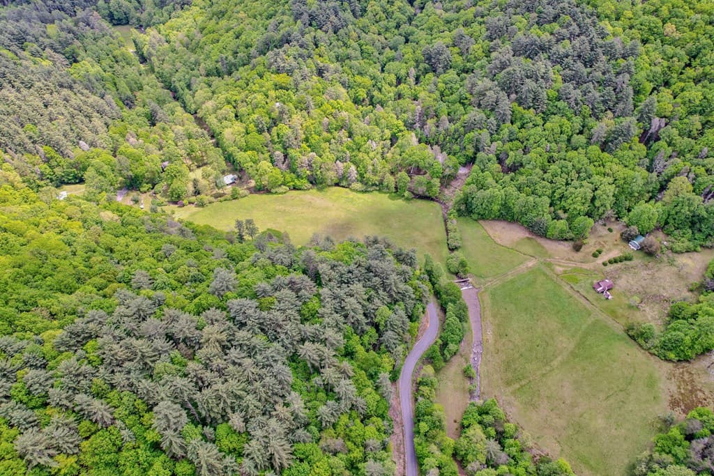 16400 Big Creek Road, Cherry Log GA 30522 - Photo