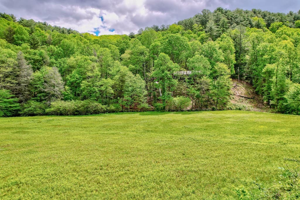 16400 Big Creek Road, Cherry Log GA 30522 - Photo
