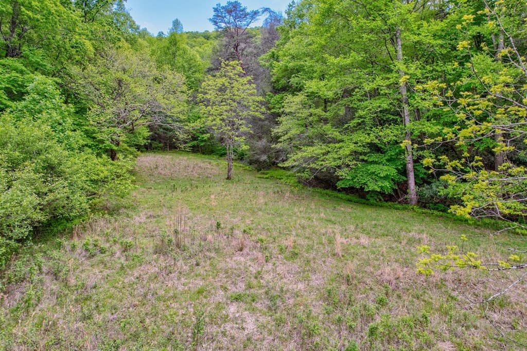 16400 Big Creek Road, Cherry Log GA 30522 - Photo