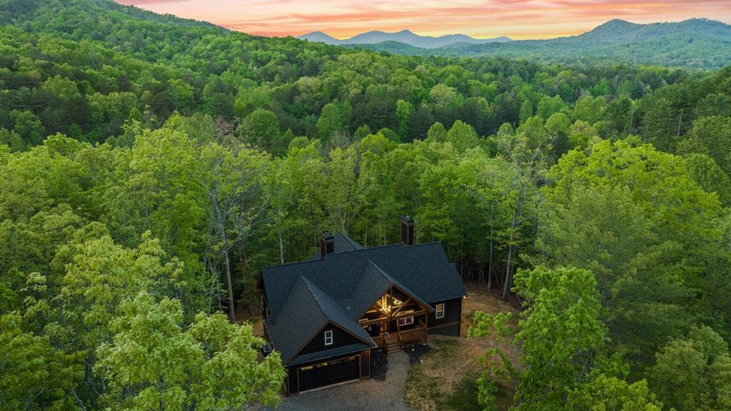 595 Arp Road, Mineral Bluff GA 30559 - Photo