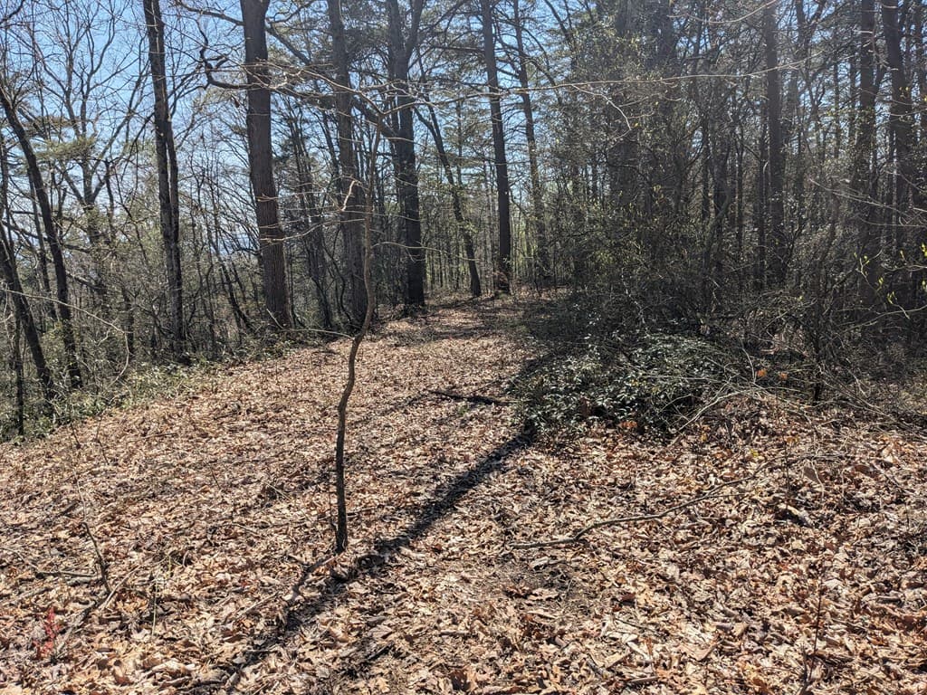 Trk 1&2 Kimsey Mountain Hwy, Turtletown TN 37391 - Photo