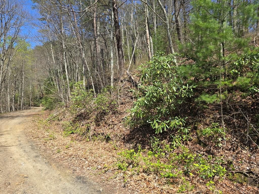 Trk 1&2 Kimsey Mountain Hwy, Turtletown TN 37391 - Photo