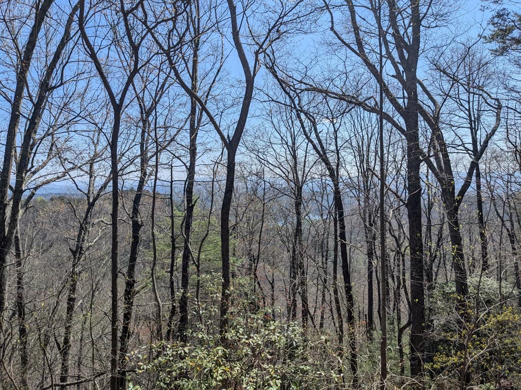 Trk 1&2 Kimsey Mountain Hwy, Turtletown TN 37391 - Photo