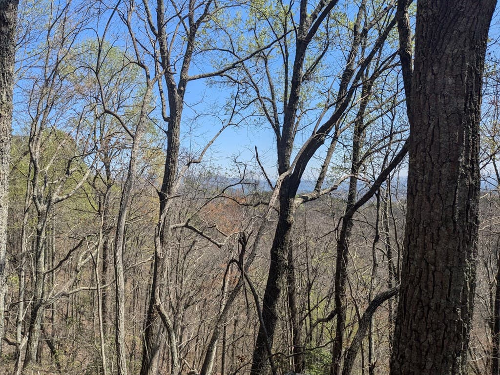 Trk 1&2 Kimsey Mountain Hwy, Turtletown TN 37391 - Photo