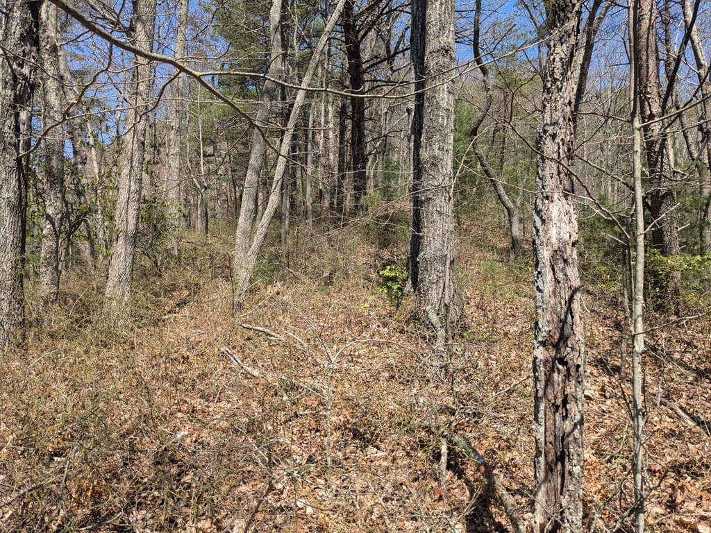 Trk 1&2 Kimsey Mountain Hwy, Turtletown TN 37391 - Photo