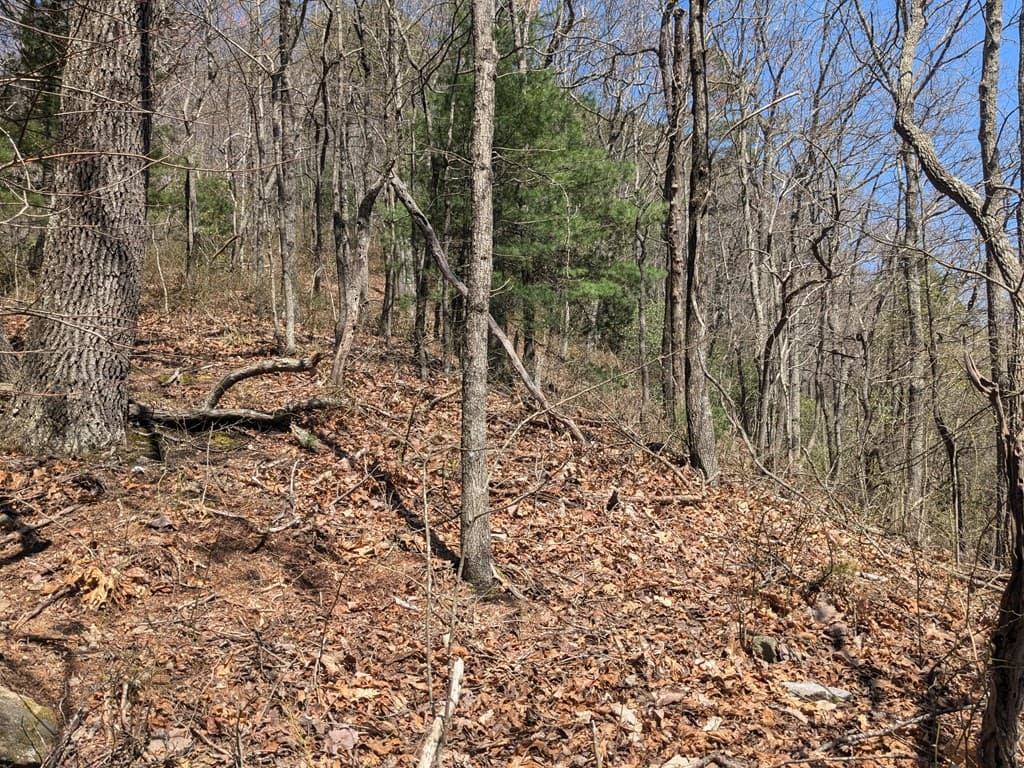 Trk 1&2 Kimsey Mountain Hwy, Turtletown TN 37391 - Photo
