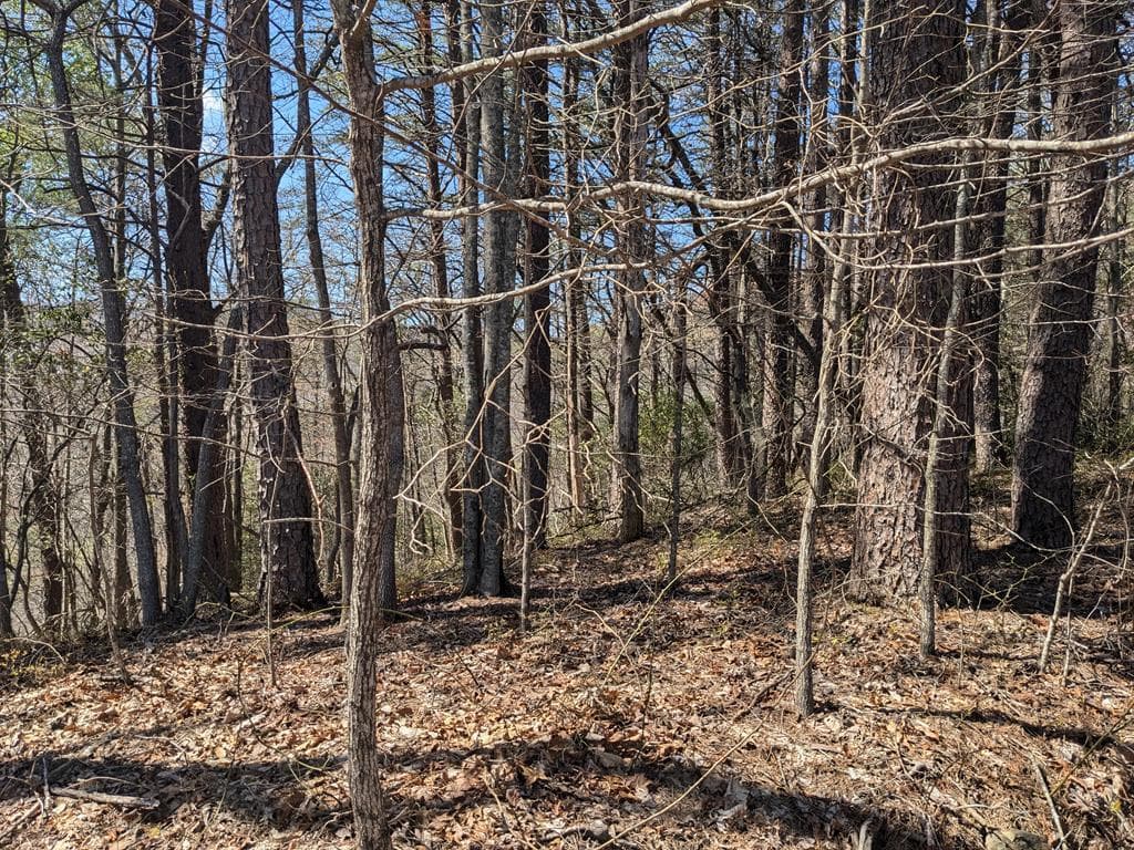 Trk 1&2 Kimsey Mountain Hwy, Turtletown TN 37391 - Photo