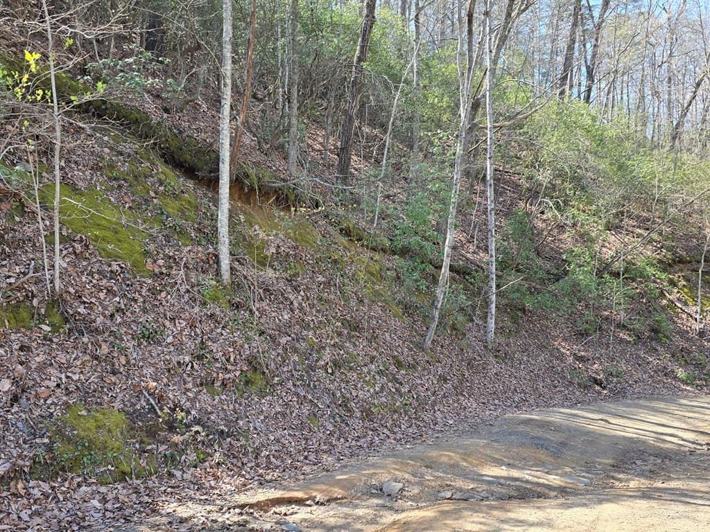 Trk 1&2 Kimsey Mountain Hwy, Turtletown TN 37391 - Photo