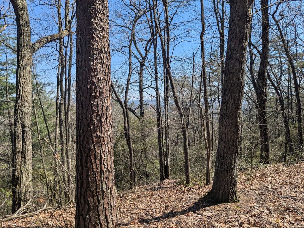 Trk 1&2 Kimsey Mountain Hwy, Turtletown TN 37391 - Photo
