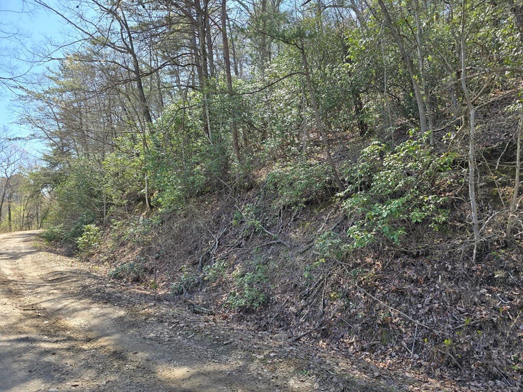 Trk 1&2 Kimsey Mountain Hwy, Turtletown TN 37391 - Photo