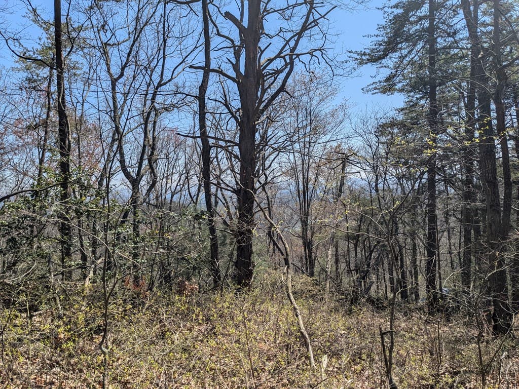 Trk 1&2 Kimsey Mountain Hwy, Turtletown TN 37391 - Photo