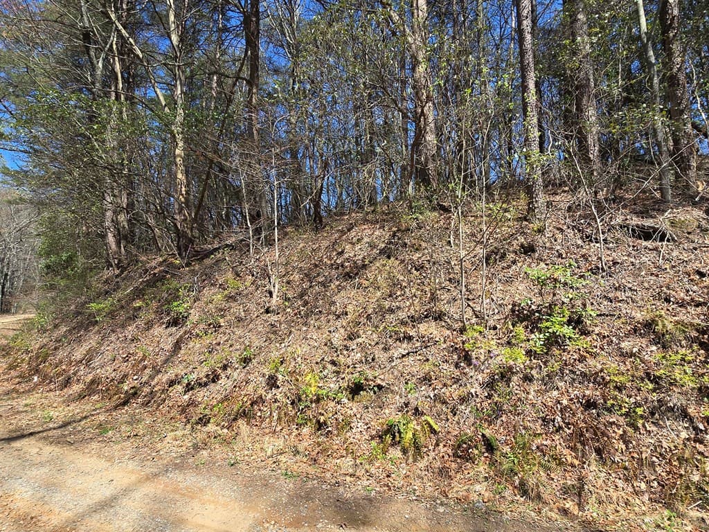 Trk 1&2 Kimsey Mountain Hwy, Turtletown TN 37391 - Photo