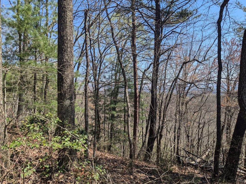 Trk 1&2 Kimsey Mountain Hwy, Turtletown TN 37391 - Photo